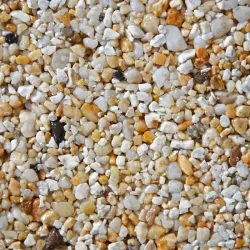 Corn